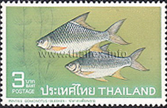Thai Fish (1st Series)