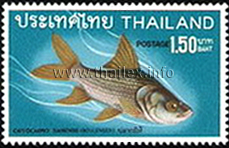 Thai Fish (2nd Series)