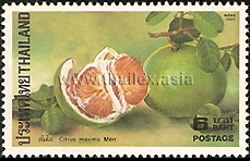 Thai Fruits - 3rd Series