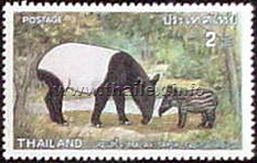 Asian Tapir (Tapirus indicus)