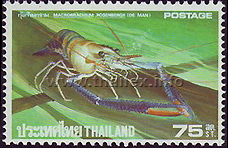 Thai Crustaceans