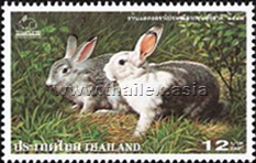 Thaipex '99 - Thai Rabbits