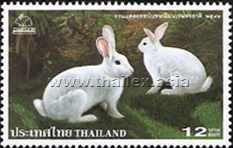 Thaipex '99 - Thai Rabbits