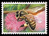 Bees