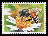 Bees