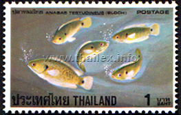 Thai Fish (3rd Series)