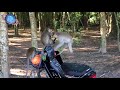 Angkor Monkeys Exploring a Motorbike