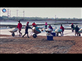 Harvesting Sea Salt