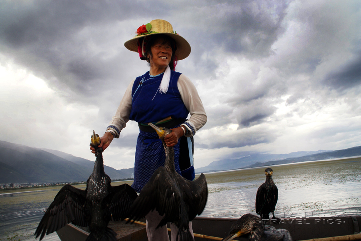 Cormorant Fishing