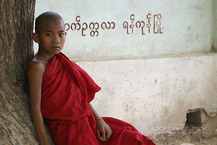 Burmese Novice, Sagaing (Myanmar)