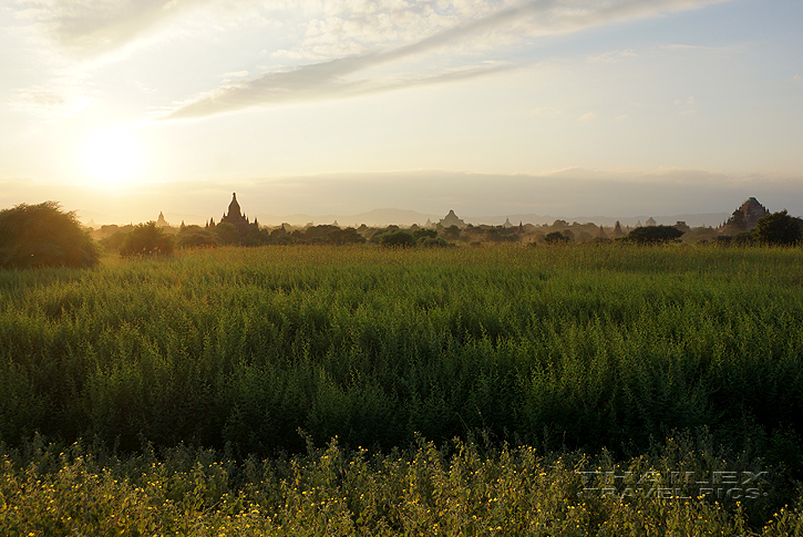 Bagan Sunset