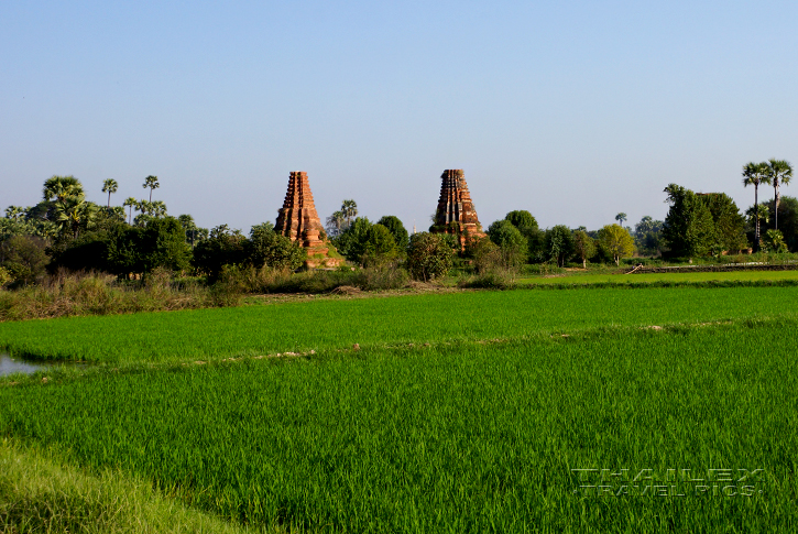 Young Rice, Inwa (Myanmar)