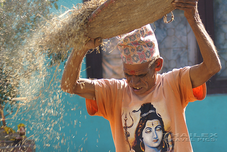 Winnowing, Chitwan (Nepal)