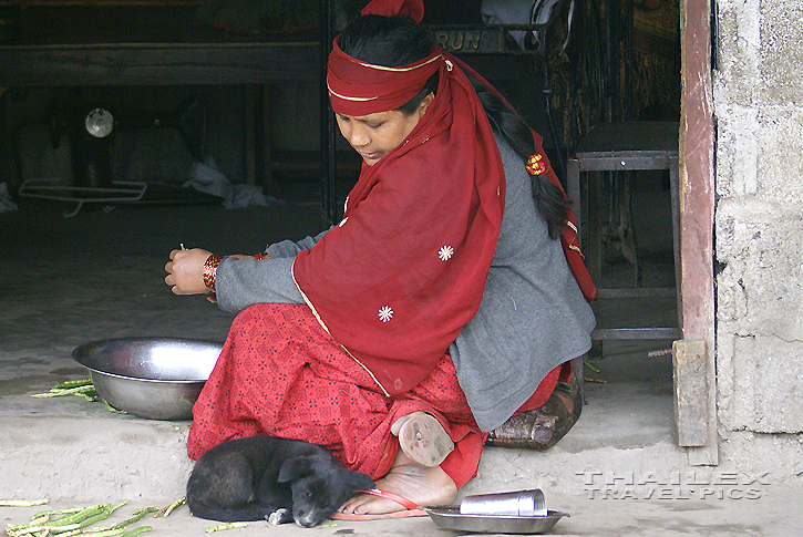 Sleeping Puppy, Mugling (Nepal)
