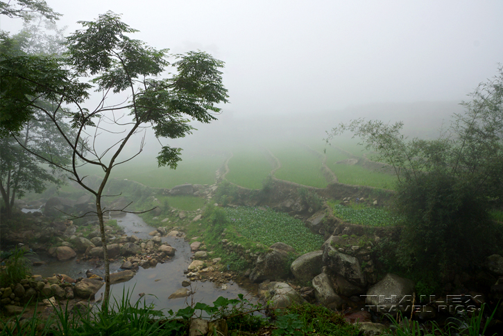 Mountain Creek, Sapa (Vietnam)